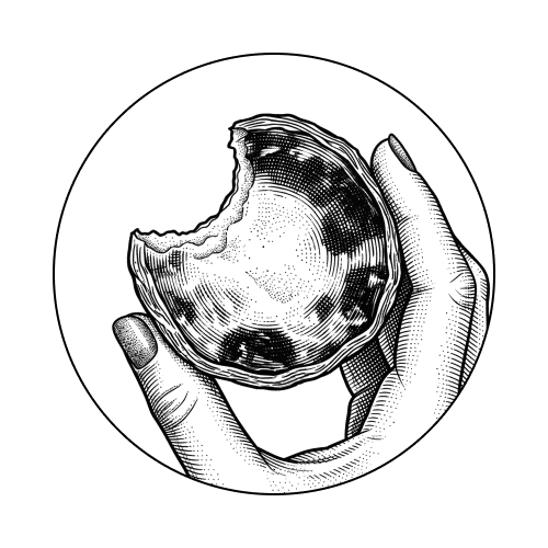 Saborear